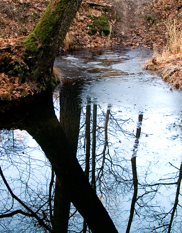 Wczytywanie Obrazu...