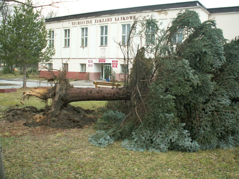 Wczytywanie Obrazu...