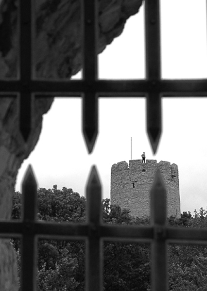 Wczytywanie Obrazu...