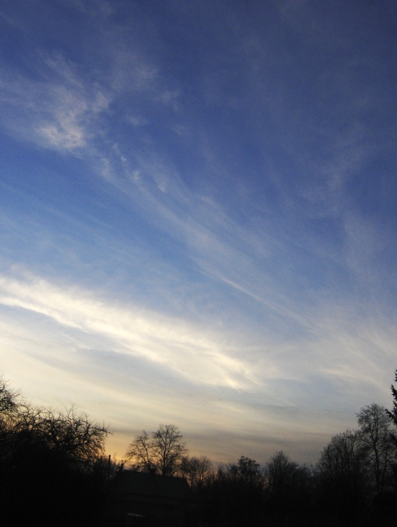 Wczytywanie Obrazu...