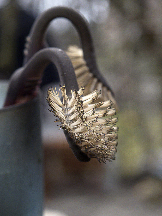 Wczytywanie Obrazu...