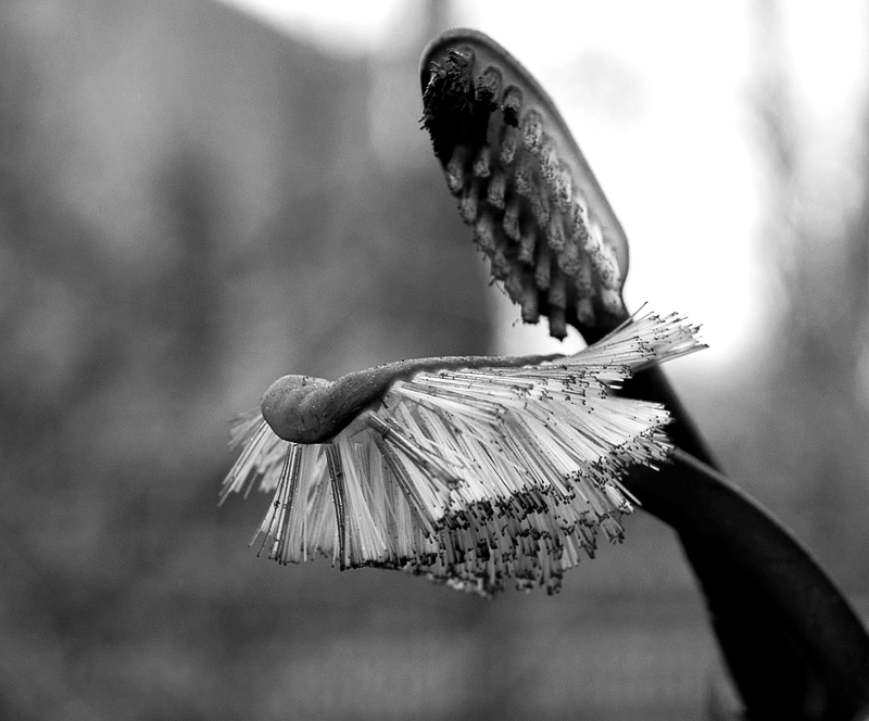 Wczytywanie Obrazu...