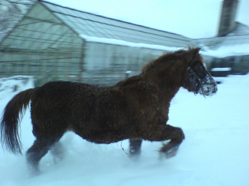 Wczytywanie Obrazu...