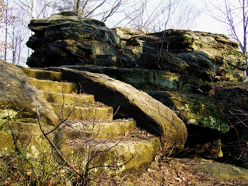 Wczytywanie Obrazu...